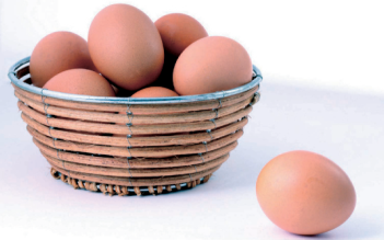 Fresh egg and its product